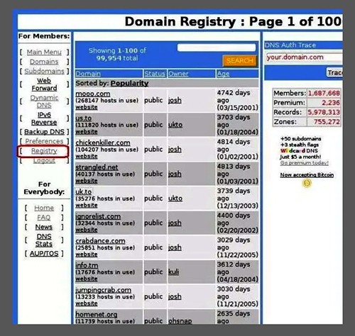 Dynamic DNS چیست