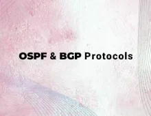 OSPF BGP Protocols